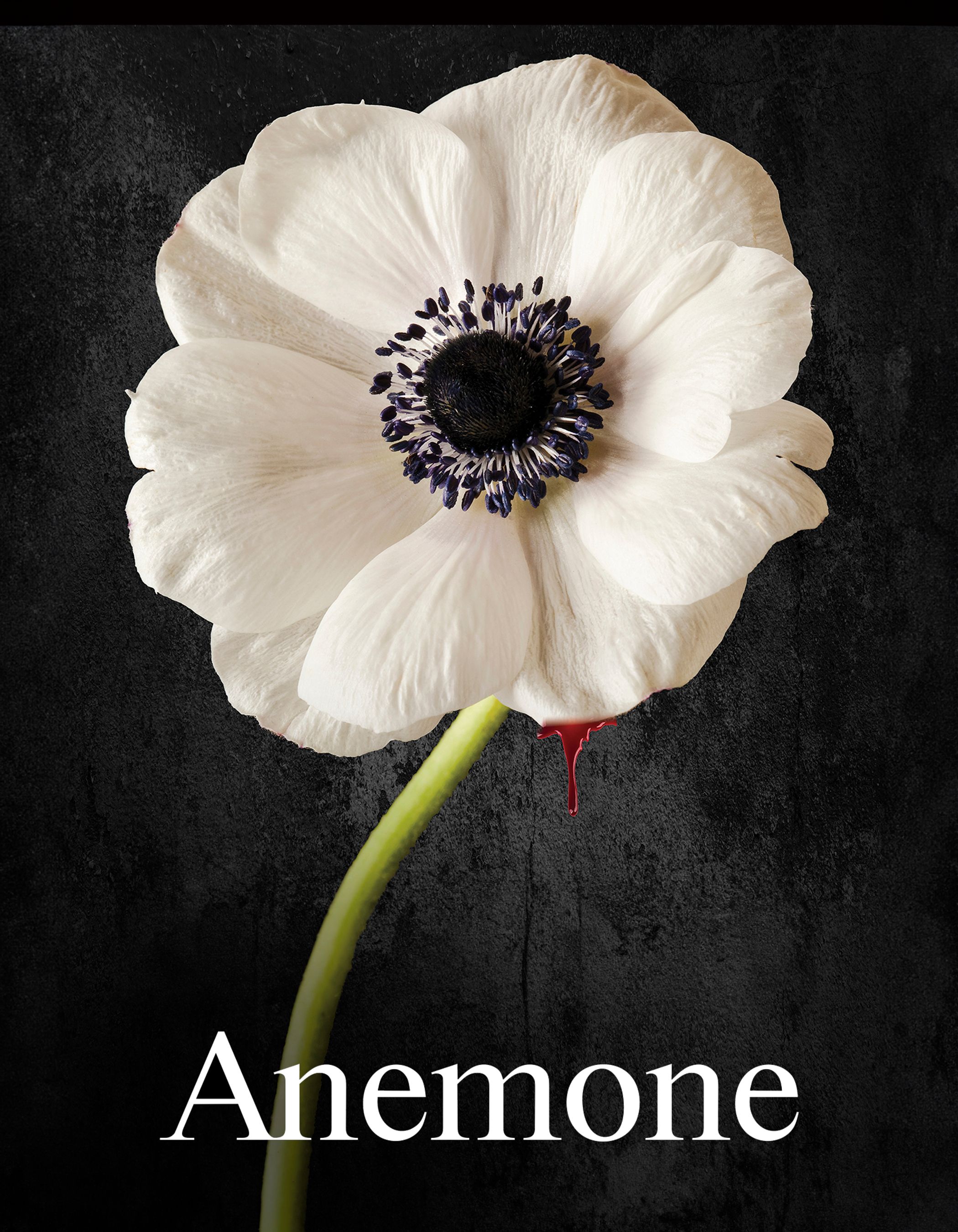 Watch Anemone Full Movie Free Online - Fawesome TV
