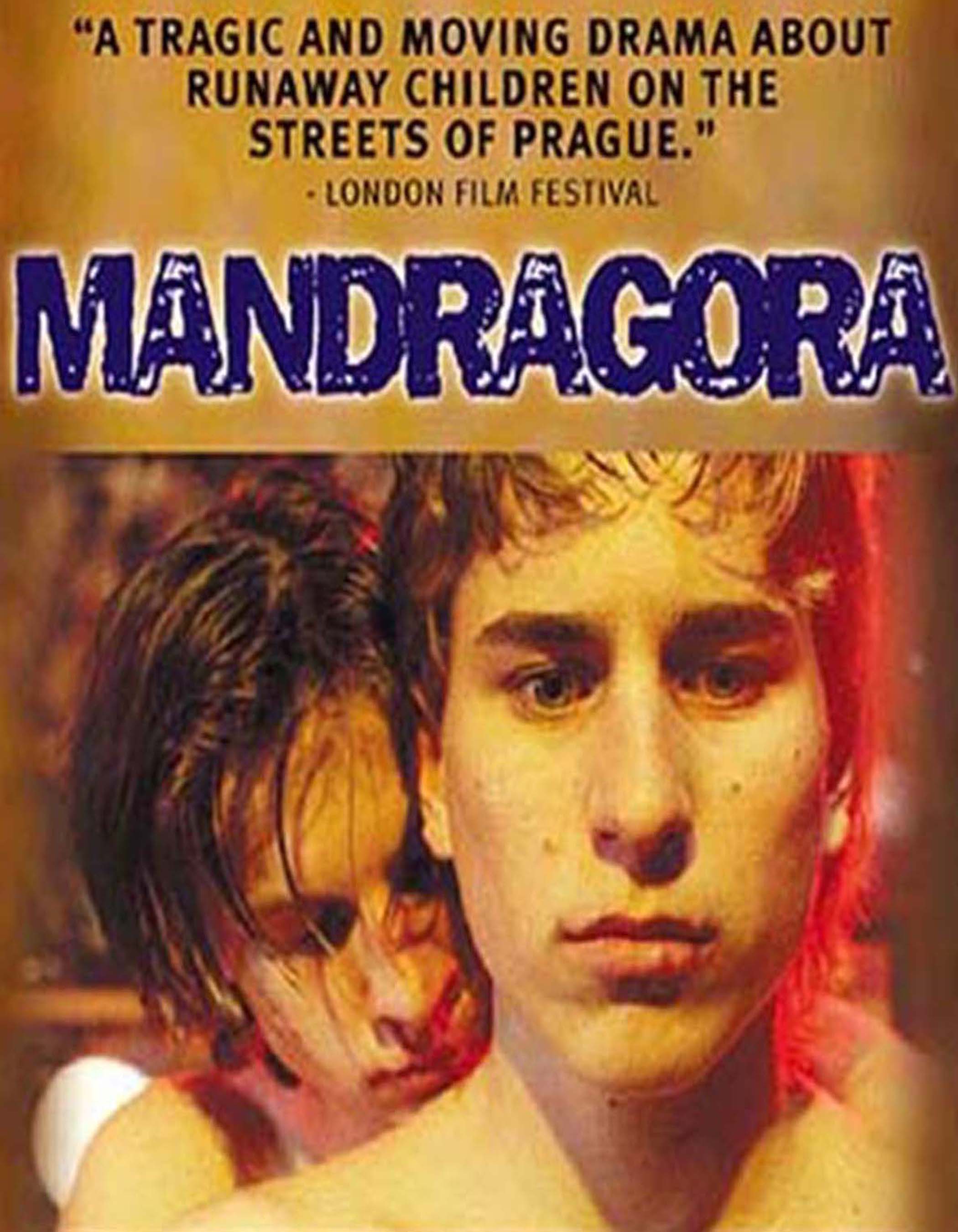 Mandragora