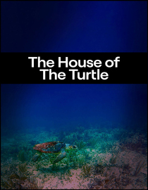 The House of the Turtle