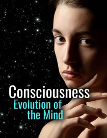 Consciousness: Evolution of the Mind