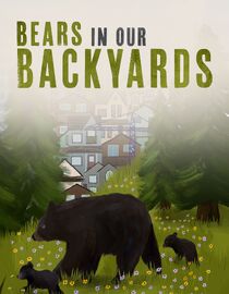 Bears in our Backyards