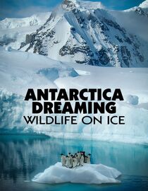 Antarctica Dreaming: Wildlife on Ice