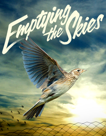 Emptying the Skies