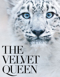 The Velvet Queen