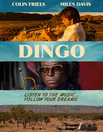 Dingo