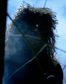 S03 E08 - Spottsville Monster, Mantis Man and Tornado Phantoms - Monsters  and Mysteries