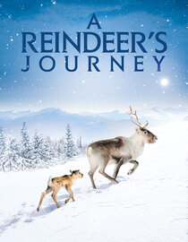 A Reindeer's Journey