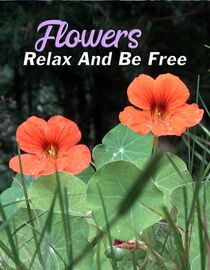 Flowers: Relax and Be Free