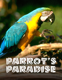 Parrot's Paradise