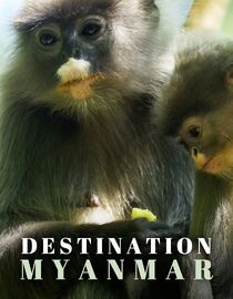 Destination Myanmar