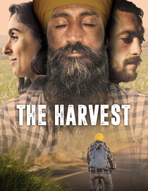 The Harvest