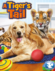 A Tiger's Tail