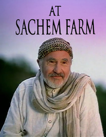 At Sachem Farm