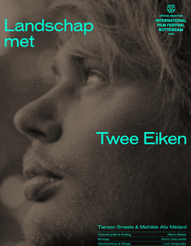 Landschap met Twee Eiken