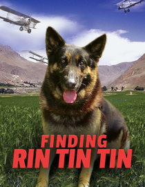 Finding Rin Tin Tin