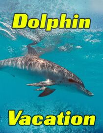 Dolphin Vacation