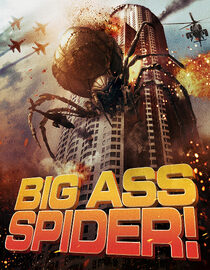Big Ass Spider!