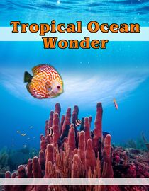 Tropical Ocean Wonder