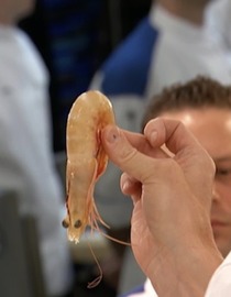 S06 E02 - 15 Chefs Compete - Hell's Kitchen