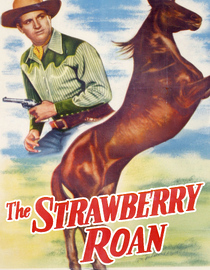 The Strawberry Roan