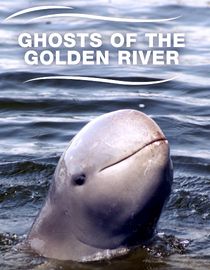 Ghosts of the Golden River