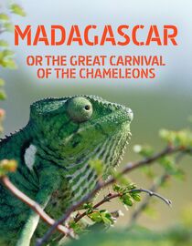 Madagascar or the Great Carnival of the Chameleons