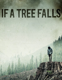 If A Tree Falls