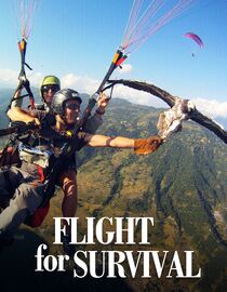 Flight for Survival