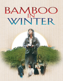 Bamboo In Winter