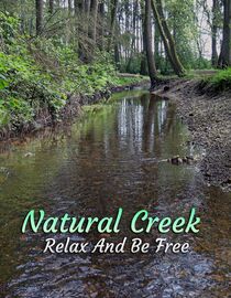 Natural Creek: Relax And Be Free