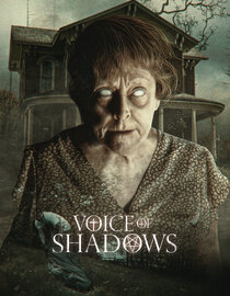 Voice of Shadows