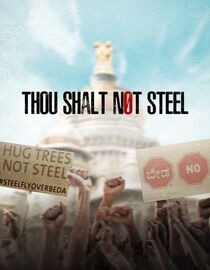 Thou Shalt Not Steel