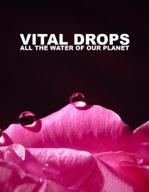 Vital Drops: All the Water of Our Planet