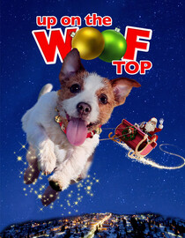 Up on the Wooftop