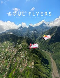 Soul Flyers