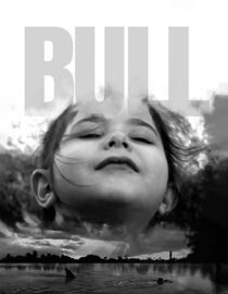 Bull