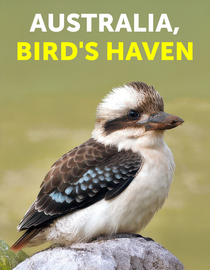 Australia, Bird's Haven