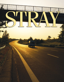 Stray