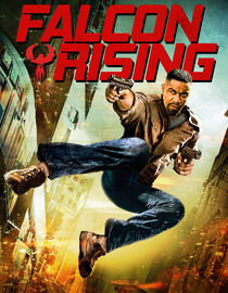 Falcon Rising