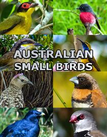 Australian Small Birds