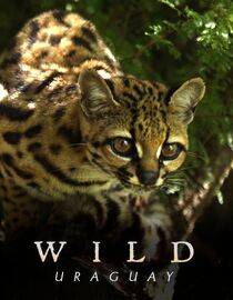 Wild Uruguay