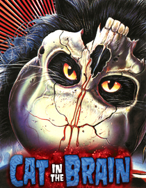 Cat In the Brain