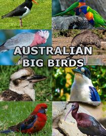 Australian Big Birds