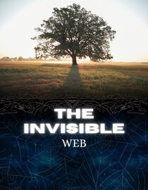 The Invisible Web