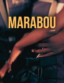 Marabou