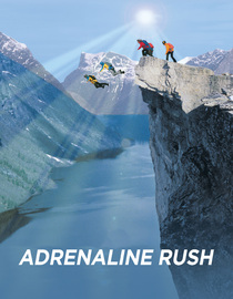 Adrenaline Rush: The Science of Risk