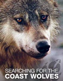 Searching for the Coast Wolves