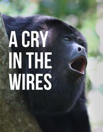 A Cry in the Wires