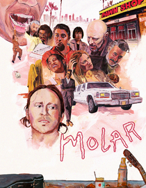 Molar