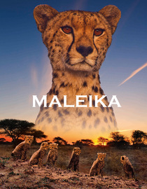 Maleika